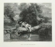  Dog and the Shadow Edwin