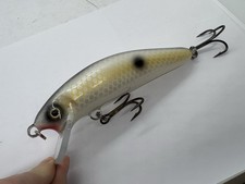 6" Blue Water Baits Sidewinder