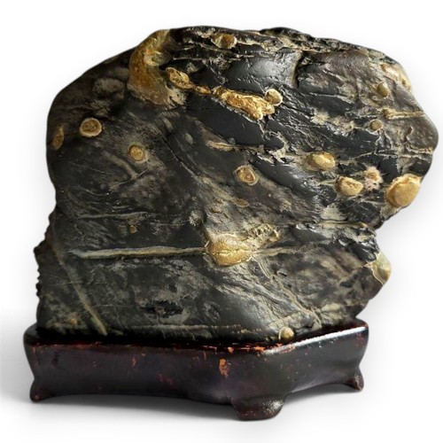 Suiseki flower landscape stone - suiseki,