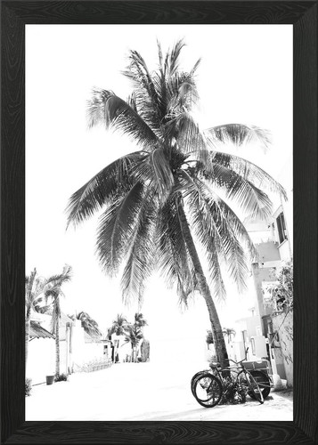 Caribbean street vibes - caribbean,