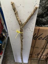 Seasoned HAZEL SHANK WALKING