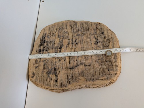 Flat shaped driftwood - ,