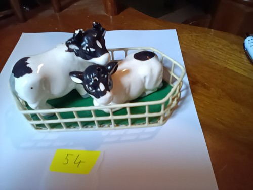 Cows pen salt - cows,