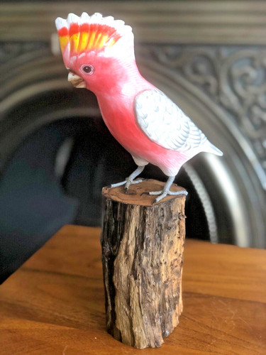 Carved wooden cockatoo bird - wooden, on
