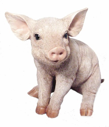 Vivid arts real - real, piglet