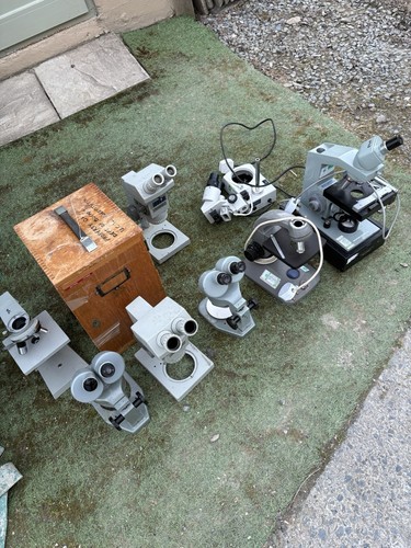 Job lot microscopes - job,