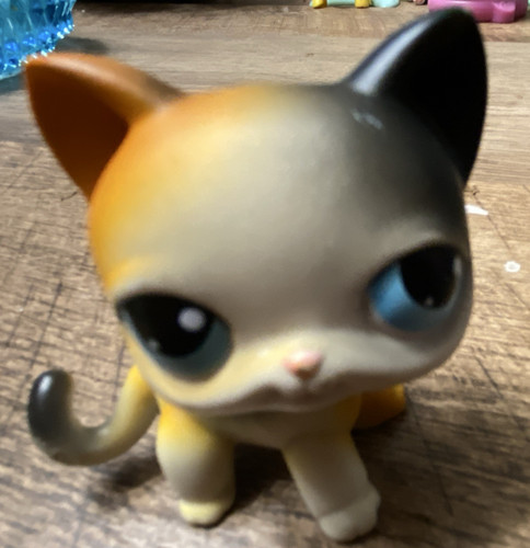 Littliest pet shop - ,, calico