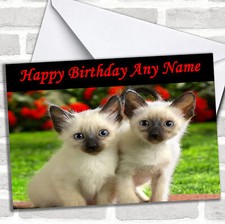 Beautiful Little Kittens