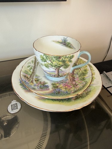 Shelley woodland 13348 vintage - shelley,