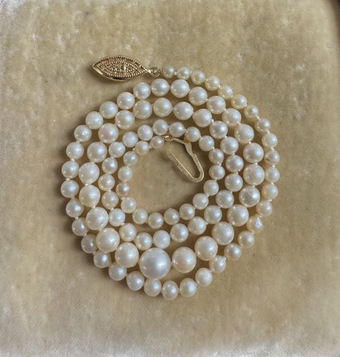 Antique art deco saltwater - antique,