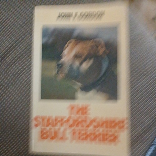 The staffordshire bull terrier - bull,