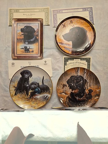 The franklin mint - the,