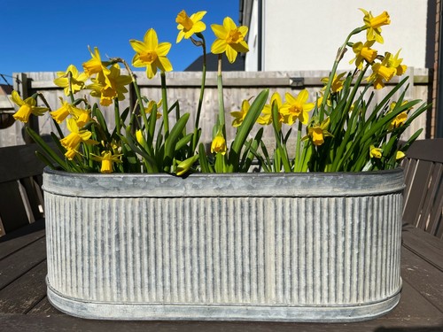 Set galvanised zinc - galvanised,