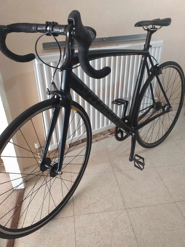 Specialized langster rare - langster, 10