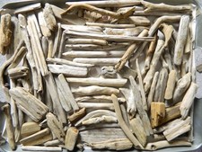 100 Driftwood Pieces For Arts