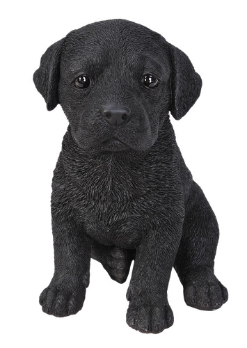Vivid arts realistic pet pals - vivid,