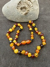 Natural Honey Cognac butterscotch Baltic amber knotted bead not adult necklace