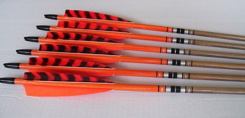 Matched wood arrows bop - wood,