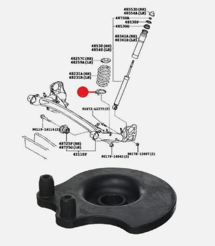 Rear upper coil spring - rear, seat