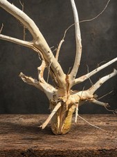 Natural Blackthorn Root