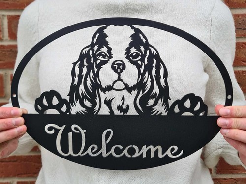 Cavalier king charles - cavalier, spaniel