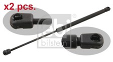 X2 PCS TAILE GATE GAS SPRINGS