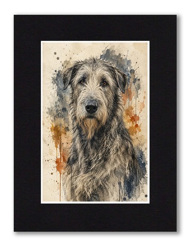 Irish wolfhound dog 6x4 - irish, photo