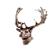 A63 Fallow Deer Head COPPER