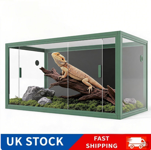 Gallon bearded dragon - gallon,