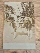 VINTAGE POSTCARD PRINCESS ROYAL'S DRAGOON GUARDS DRUM MAJOR ON A PIEBALD HORSE