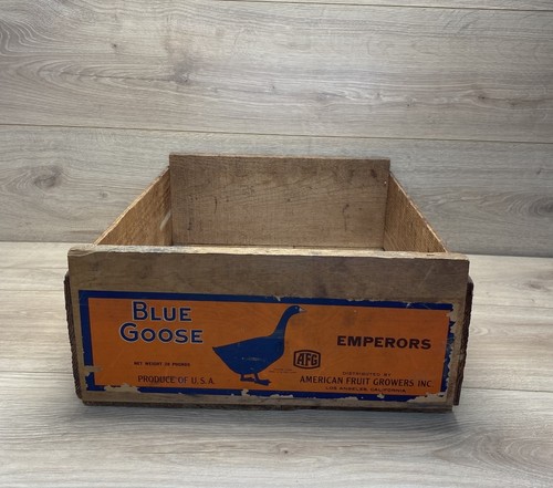 Vintage blue goose - vintage, emperors