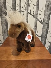 Standing Shetland Pony By