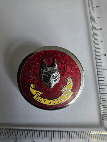 Vintage boy scouts assistant - vintage,
