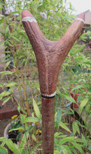 HAND CRAFTED HAZEL STAGSHORN ANTLER WALKING STICK 47 1/2 " LONG
