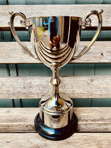 Silver trophy 25 - 🏆,