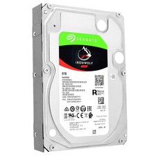 Seagate IronWolf 8TB