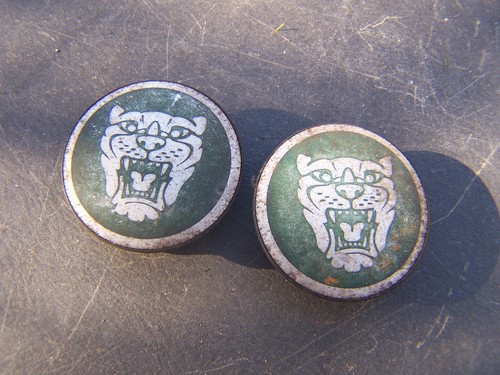 Jaguar type pair - x-type, wheel