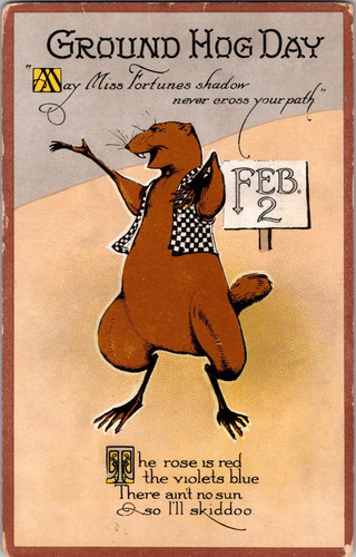 Postcard ground hog day - hog, may