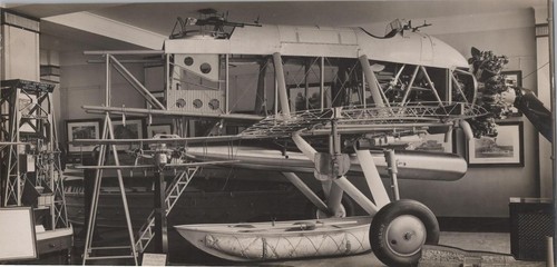 Vickers vildebeest partial - vildebeest,