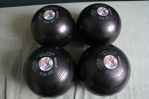 Taylor lignoid size - taylor, 00