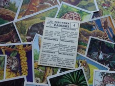 Panini Mammals Stickers (1978)