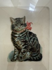 Peter Blake Cat Print