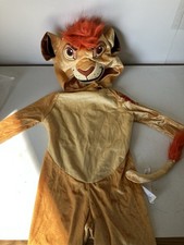 Disney Lion King Costume