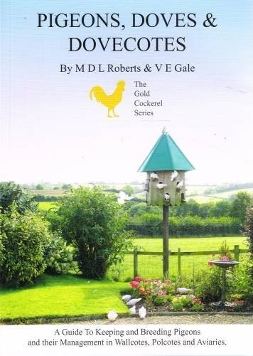 Pigeons doves and dovecotes - doves,