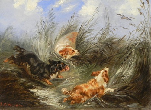Antique painting spaniels - antique,