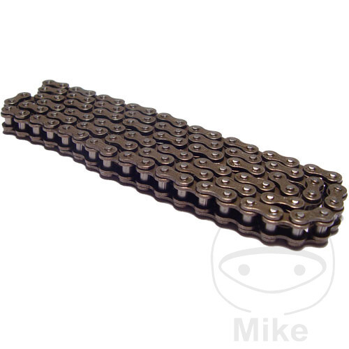 Endless cam chain - endless,