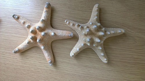 Set real knobbly - of, 2