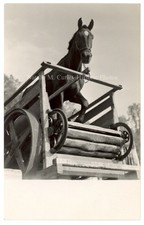 1910s Horse Power Tread Mill