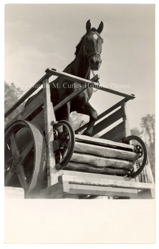 1910s horse power tread - 1910s, mill