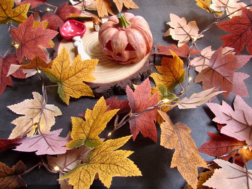 Autumn leaves fairy lights